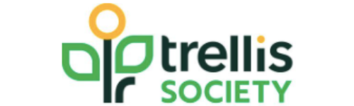 site logo